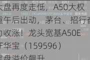 大盘再度走低，A50大权重午后出动，茅台、招行奋力收涨！龙头宽基A50ETF华宝（159596）尾盘溢价飙升