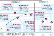 房地产二期项目解析：如何选择？