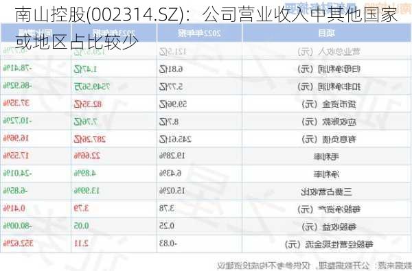 南山控股(002314.SZ)：公司营业收入中其他国家或地区占比较少