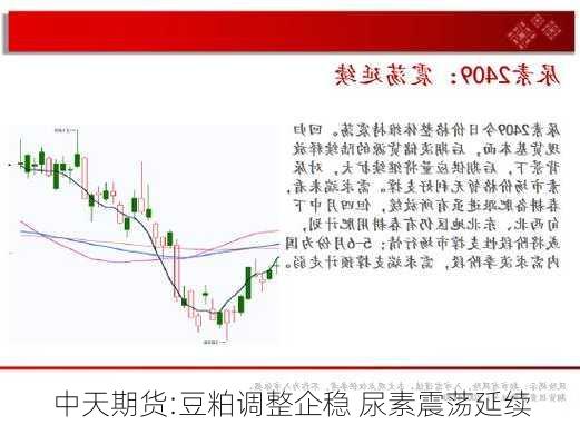 中天期货:豆粕调整企稳 尿素震荡延续