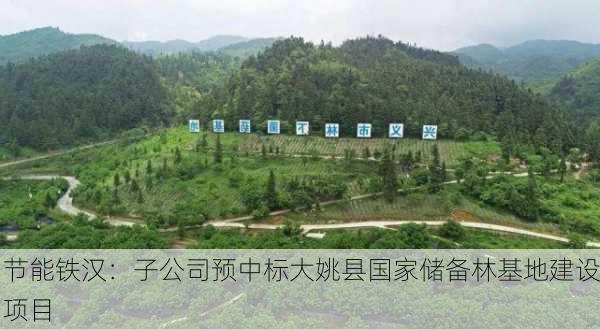 节能铁汉：子公司预中标大姚县国家储备林基地建设项目