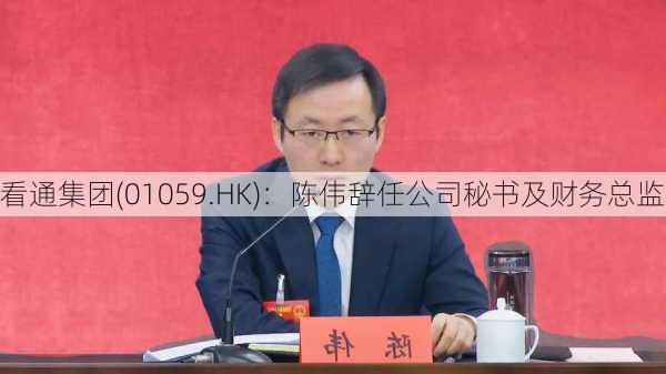 看通集团(01059.HK)：陈伟辞任公司秘书及财务总监