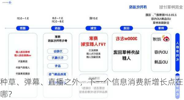 种草、弹幕、直播之外，下一个信息消费新增长点在哪？