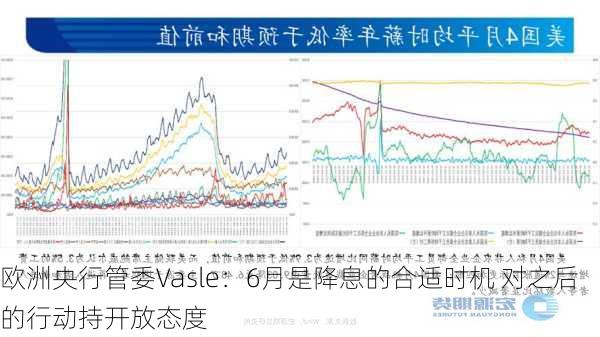 欧洲央行管委Vasle：6月是降息的合适时机 对之后的行动持开放态度