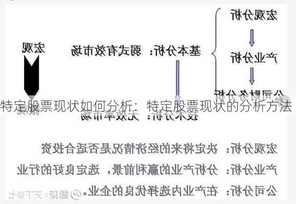 特定股票现状如何分析：特定股票现状的分析方法