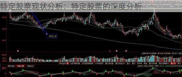 特定股票现状分析：特定股票的深度分析