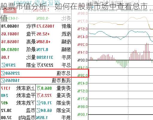 股票市值分析：如何在股票市场中查看总市值