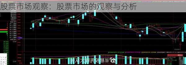 股票市场观察：股票市场的观察与分析