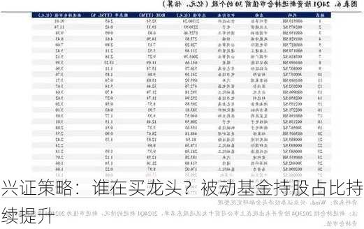 兴证策略：谁在买龙头？被动基金持股占比持续提升