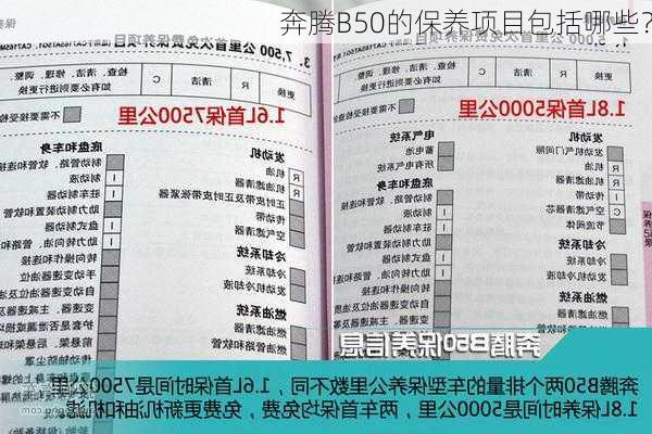 奔腾B50的保养项目包括哪些？