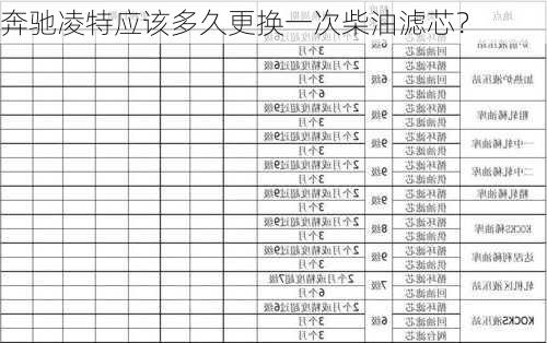 奔驰凌特应该多久更换一次柴油滤芯？