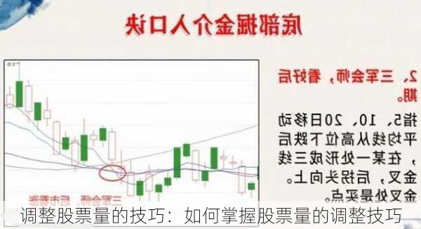 调整股票量的技巧：如何掌握股票量的调整技巧