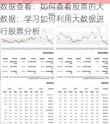 数据查看：如何查看股票的大数据：学习如何利用大数据进行股票分析