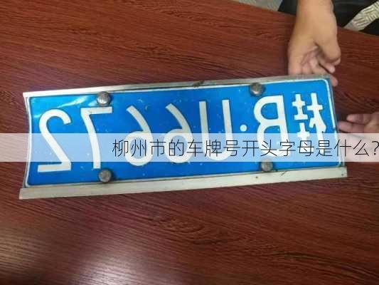 柳州市的车牌号开头字母是什么？