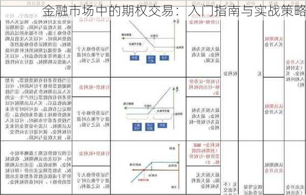 金融市场中的期权交易：入门指南与实战策略