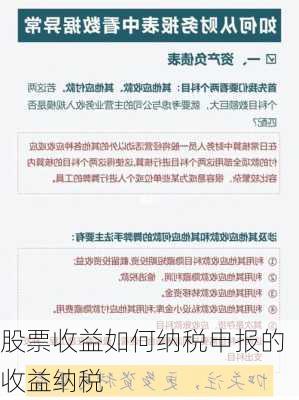 股票收益如何纳税申报的收益纳税