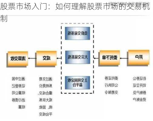 股票市场入门：如何理解股票市场的交易机制