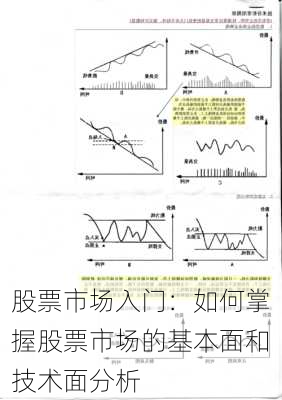 股票市场入门：如何掌握股票市场的基本面和技术面分析