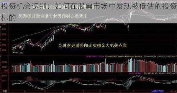 投资机会识别：如何在股票市场中发现被低估的投资标的