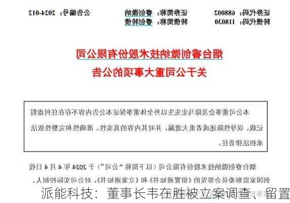 派能科技：董事长韦在胜被立案调查、留置