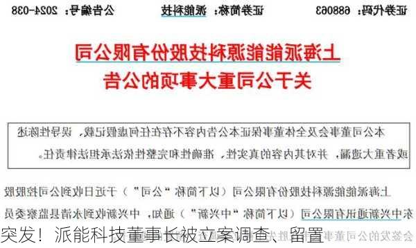 突发！派能科技董事长被立案调查、留置