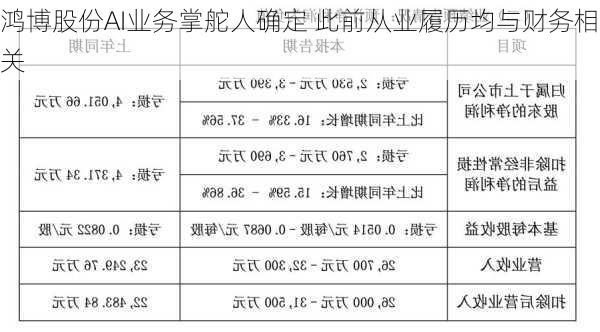 鸿博股份AI业务掌舵人确定 此前从业履历均与财务相关