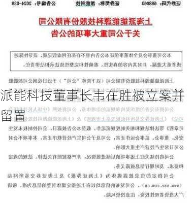 派能科技董事长韦在胜被立案并留置