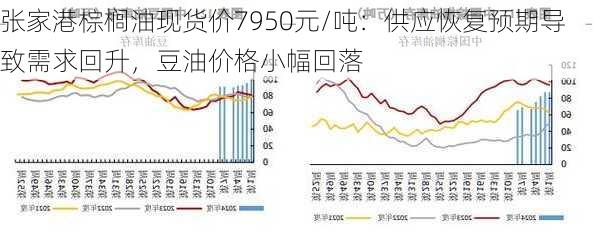 张家港棕榈油现货价7950元/吨：供应恢复预期导致需求回升，豆油价格小幅回落