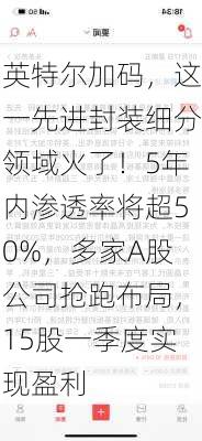 英特尔加码，这一先进封装细分领域火了！5年内渗透率将超50%，多家A股公司抢跑布局，15股一季度实现盈利