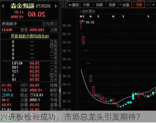 六连板检验成功，市场总龙头引发期待？