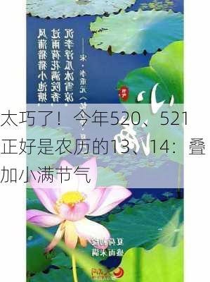 太巧了！今年520、521正好是农历的13、14：叠加小满节气