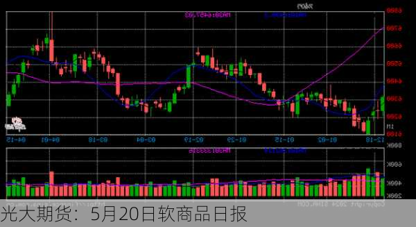 光大期货：5月20日软商品日报