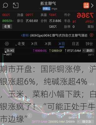 期市开盘：国际铜涨停，沪银涨超6%，纯碱涨超4%，玉米、菜粕小幅下跌；白银涨疯了！“可能正处于牛市边缘”