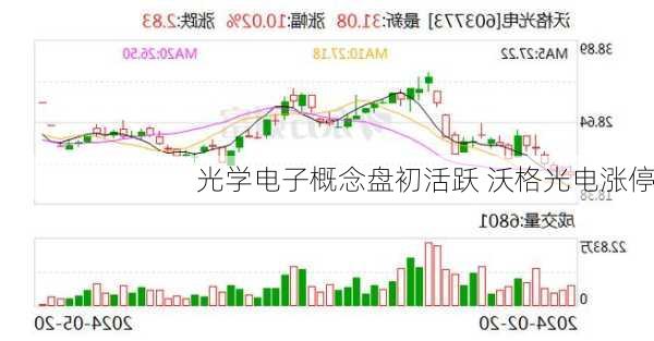 光学电子概念盘初活跃 沃格光电涨停