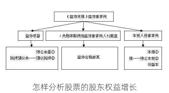 怎样分析股票的股东权益增长