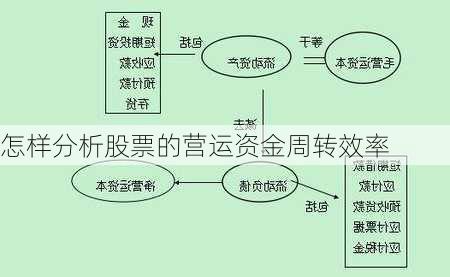 怎样分析股票的营运资金周转效率