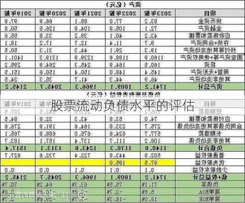 股票流动负债水平的评估