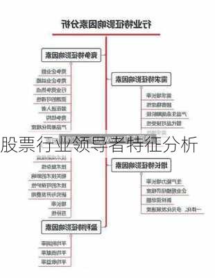 股票行业领导者特征分析