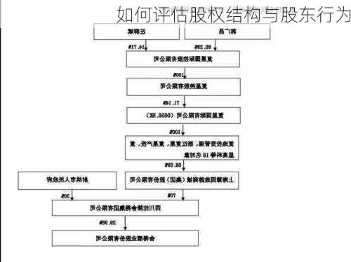 如何评估股权结构与股东行为