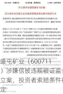 盛屯矿业（600711）涉嫌信披违规被证监会立案，投资者索赔条件初定