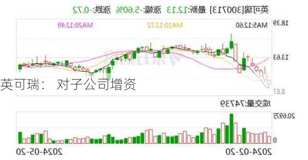 英可瑞： 对子公司增资