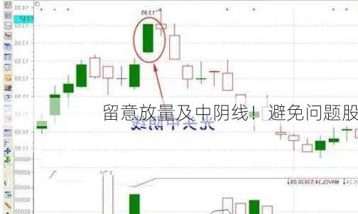 留意放量及中阴线！避免问题股