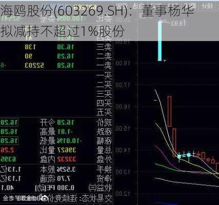 海鸥股份(603269.SH)：董事杨华拟减持不超过1%股份