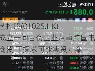 嘉艺控股(01025.HK)拟成立一间合资企业从事跨国电子商贸 正探求可能集资方案