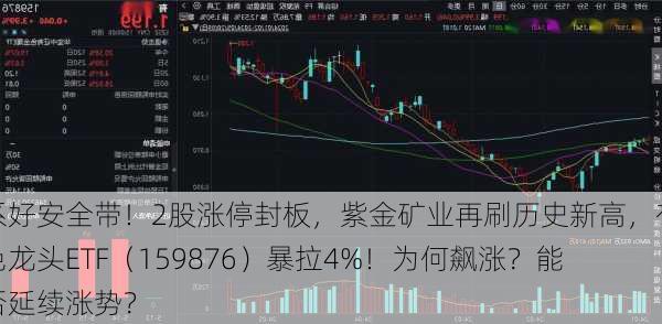 系好安全带！2股涨停封板，紫金矿业再刷历史新高，有色龙头ETF（159876）暴拉4%！为何飙涨？能否延续涨势？