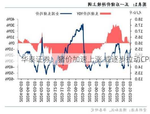 华泰证券：猪价加速上涨 或逐步拉动CPI