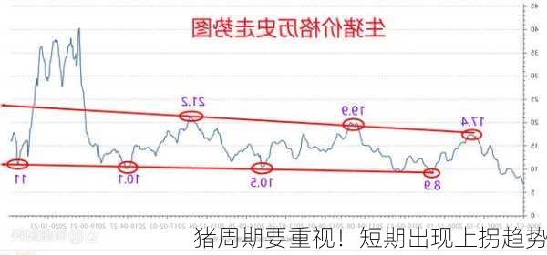 猪周期要重视！短期出现上拐趋势