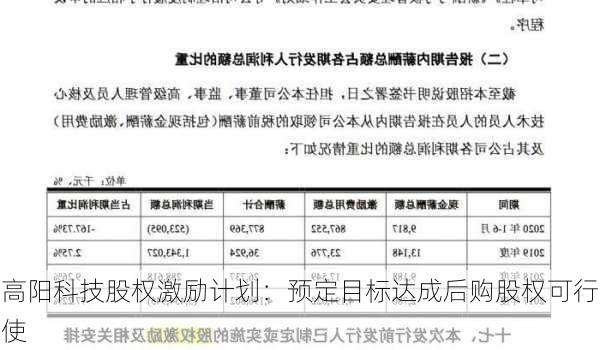 高阳科技股权激励计划：预定目标达成后购股权可行使