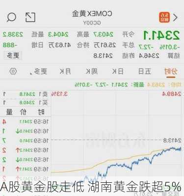 A股黄金股走低 湖南黄金跌超5%