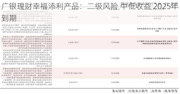 广银理财幸福添利产品：二级风险 中低收益 2025年到期